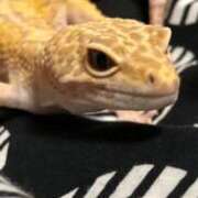 ヒメ日記 2025/11/13 23:42 投稿 そら 西船人妻花壇