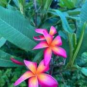 ヒメ日記 2025/08/13 18:58 投稿 そら 出会い系人妻ネットワーク錦糸町～小岩編