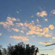 ヒメ日記 2025/09/11 16:46 投稿 そら 出会い系人妻ネットワーク錦糸町～小岩編