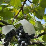 ヒメ日記 2025/09/28 18:02 投稿 そら 出会い系人妻ネットワーク錦糸町～小岩編