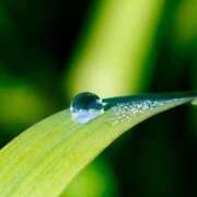 ヒメ日記 2025/10/01 08:27 投稿 そら 出会い系人妻ネットワーク錦糸町～小岩編