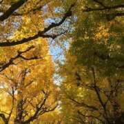 ヒメ日記 2025/11/14 17:18 投稿 そら 出会い系人妻ネットワーク錦糸町～小岩編