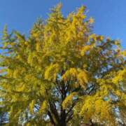 ヒメ日記 2025/11/17 18:40 投稿 そら 出会い系人妻ネットワーク錦糸町～小岩編