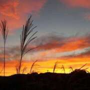 そら 肌寒い日 出会い系人妻ネットワーク錦糸町～小岩編