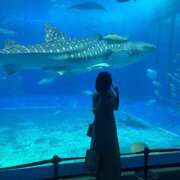 あるの こんちくわ🍥 ハピネス東京 吉原店