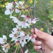 ヒメ日記 2026/04/03 10:29 投稿 りいな ロイヤルヴィトン(宇都宮)