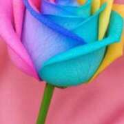 ヒメ日記 2025/08/09 12:58 投稿 ゆうな アイムシェイク