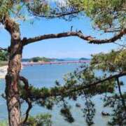 ヒメ日記 2025/08/18 08:55 投稿 つらら スピードエコ梅田店