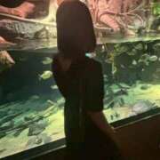 ヒメ日記 2025/12/31 11:23 投稿 つらら スピードエコ梅田店