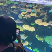 ヒメ日記 2026/02/02 11:26 投稿 つらら スピードエコ梅田店