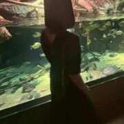 ヒメ日記 2026/03/03 10:56 投稿 つらら スピードエコ梅田店