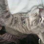 ヒメ日記 2025/08/12 08:38 投稿 りんか LOVE横浜店(Iグループ)