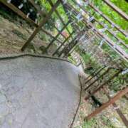 ヒメ日記 2025/08/15 10:01 投稿 くれは 吉野ケ里人妻デリヘル 「デリ夫人」