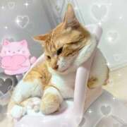 ヒメ日記 2025/09/07 12:31 投稿 くれは 吉野ケ里人妻デリヘル 「デリ夫人」