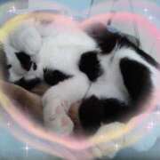 ヒメ日記 2025/09/16 16:01 投稿 くれは 吉野ケ里人妻デリヘル 「デリ夫人」