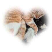 ヒメ日記 2025/09/18 12:34 投稿 くれは 吉野ケ里人妻デリヘル 「デリ夫人」