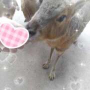 ヒメ日記 2025/09/23 21:50 投稿 くれは 吉野ケ里人妻デリヘル 「デリ夫人」