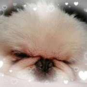 ヒメ日記 2025/10/02 20:57 投稿 くれは 吉野ケ里人妻デリヘル 「デリ夫人」