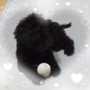 ヒメ日記 2025/10/07 22:00 投稿 くれは 吉野ケ里人妻デリヘル 「デリ夫人」