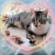 ヒメ日記 2025/10/10 13:45 投稿 くれは 吉野ケ里人妻デリヘル 「デリ夫人」