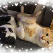 ヒメ日記 2025/10/18 08:01 投稿 くれは 吉野ケ里人妻デリヘル 「デリ夫人」