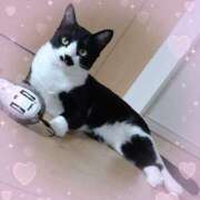 ヒメ日記 2025/10/24 16:22 投稿 くれは 吉野ケ里人妻デリヘル 「デリ夫人」