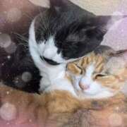 ヒメ日記 2025/10/25 11:26 投稿 くれは 吉野ケ里人妻デリヘル 「デリ夫人」