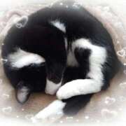 ヒメ日記 2025/11/01 21:21 投稿 くれは 吉野ケ里人妻デリヘル 「デリ夫人」