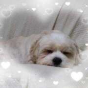 ヒメ日記 2025/11/11 20:45 投稿 くれは 吉野ケ里人妻デリヘル 「デリ夫人」