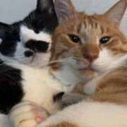 ヒメ日記 2025/11/25 20:18 投稿 くれは 吉野ケ里人妻デリヘル 「デリ夫人」