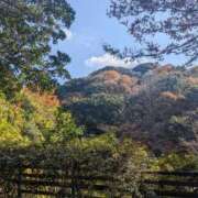 ヒメ日記 2025/12/02 12:45 投稿 くれは 吉野ケ里人妻デリヘル 「デリ夫人」