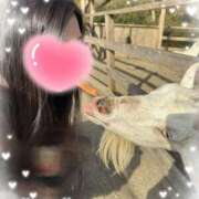 ヒメ日記 2025/12/02 16:38 投稿 くれは 吉野ケ里人妻デリヘル 「デリ夫人」