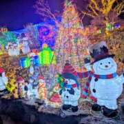 ヒメ日記 2025/12/08 19:30 投稿 くれは 吉野ケ里人妻デリヘル 「デリ夫人」