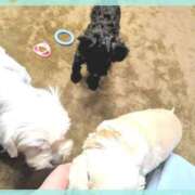 ヒメ日記 2025/12/16 17:22 投稿 くれは 吉野ケ里人妻デリヘル 「デリ夫人」