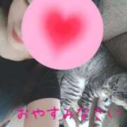 ヒメ日記 2026/03/12 01:02 投稿 くれは 吉野ケ里人妻デリヘル 「デリ夫人」