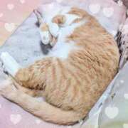 ヒメ日記 2026/03/17 10:54 投稿 くれは 吉野ケ里人妻デリヘル 「デリ夫人」