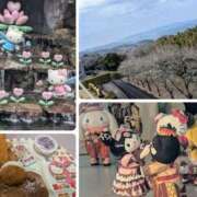 ヒメ日記 2026/03/18 16:34 投稿 くれは 吉野ケ里人妻デリヘル 「デリ夫人」