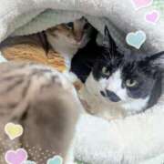 ヒメ日記 2026/03/18 19:59 投稿 くれは 吉野ケ里人妻デリヘル 「デリ夫人」