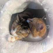 ヒメ日記 2026/03/24 14:51 投稿 くれは 吉野ケ里人妻デリヘル 「デリ夫人」