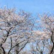 ヒメ日記 2026/03/27 12:13 投稿 くれは 吉野ケ里人妻デリヘル 「デリ夫人」