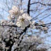 ヒメ日記 2026/03/28 14:23 投稿 くれは 吉野ケ里人妻デリヘル 「デリ夫人」