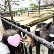 ヒメ日記 2026/04/03 12:48 投稿 くれは 吉野ケ里人妻デリヘル 「デリ夫人」