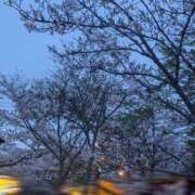 ヒメ日記 2026/04/03 18:53 投稿 くれは 吉野ケ里人妻デリヘル 「デリ夫人」