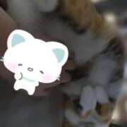 ヒメ日記 2026/04/10 09:40 投稿 くれは 吉野ケ里人妻デリヘル 「デリ夫人」