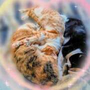 ヒメ日記 2026/04/11 11:27 投稿 くれは 吉野ケ里人妻デリヘル 「デリ夫人」