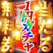 ヒメ日記 2025/07/31 18:01 投稿 もか☆期間限定極嬢美女 Ace(エース)