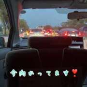 ヒメ日記 2026/04/23 18:44 投稿 なるも 熟女の風俗最終章 仙台店