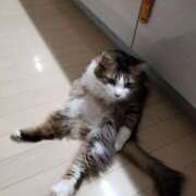 ヒメ日記 2025/07/29 10:49 投稿 今村 西船橋おかあさん