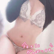 ヒメ日記 2025/12/10 04:22 投稿 ここね 恋するいん乱若妻