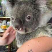 ヒメ日記 2025/11/03 09:36 投稿 ゆん コンカフェ×オナクラ あいこねくと